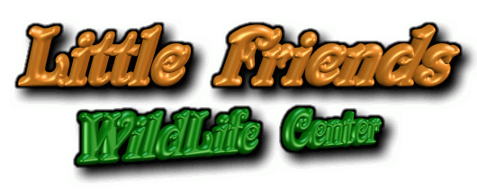 A Tax Exempt, Charitable Non-Profit Organization!